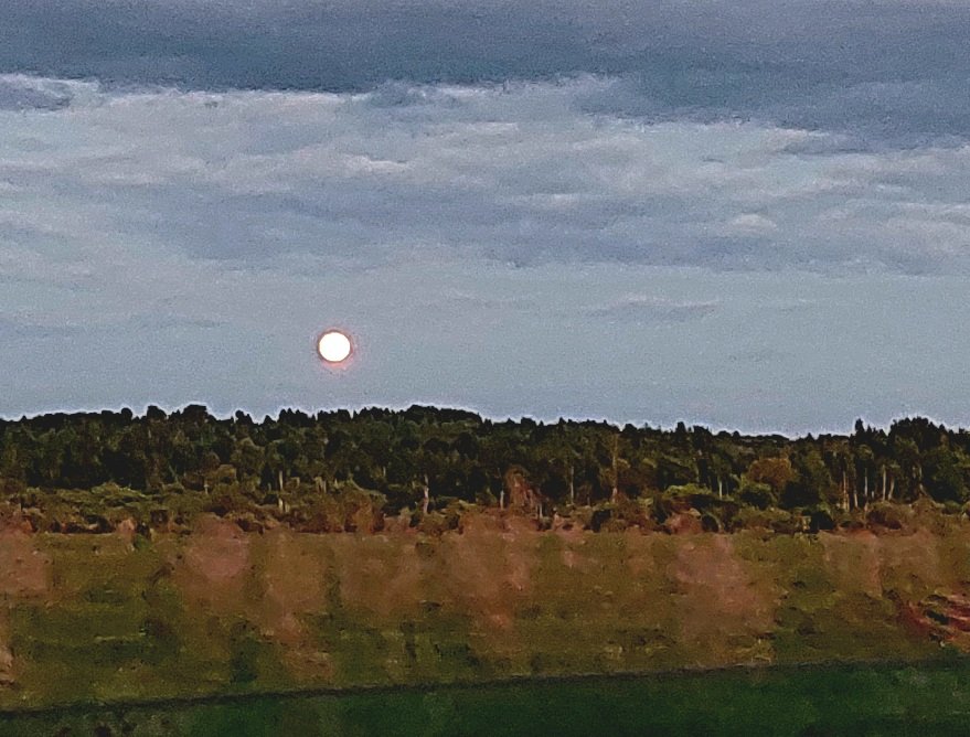 20260530_213501.jpg
