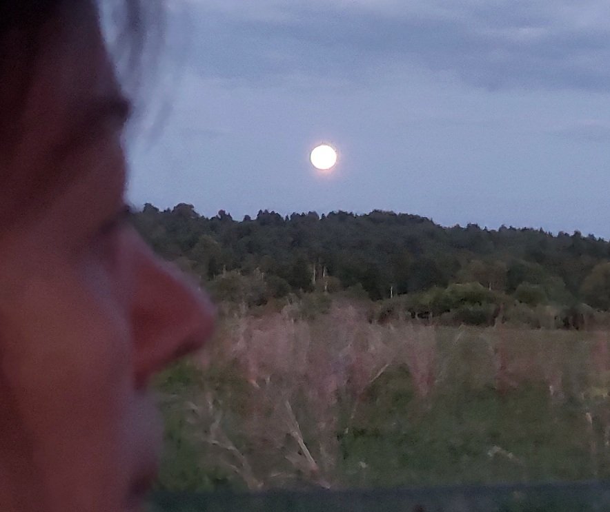 20260530_213505.jpg