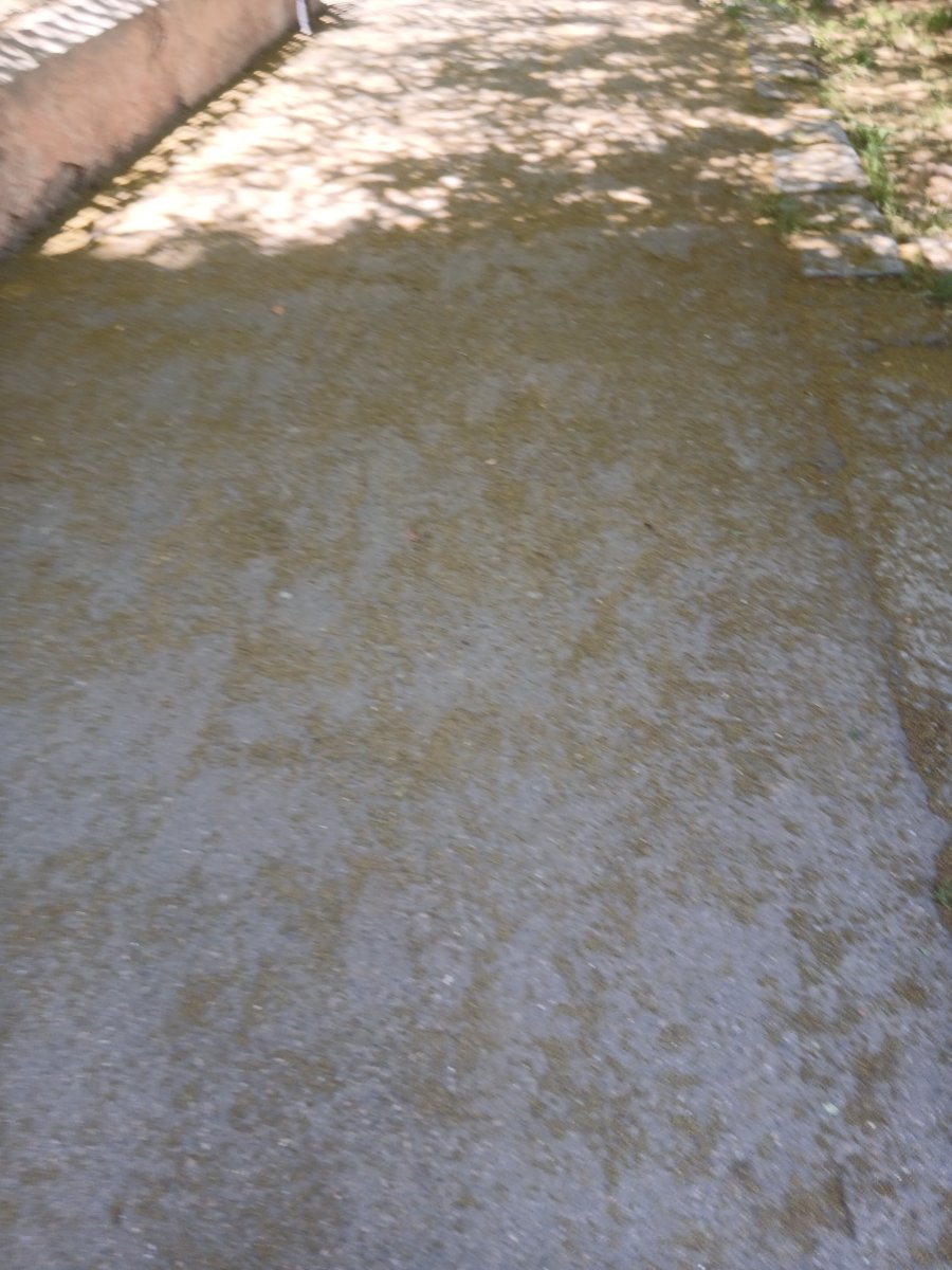 20260605_122034.jpg