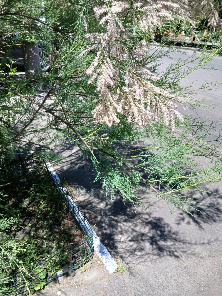 20260605_122708.jpg