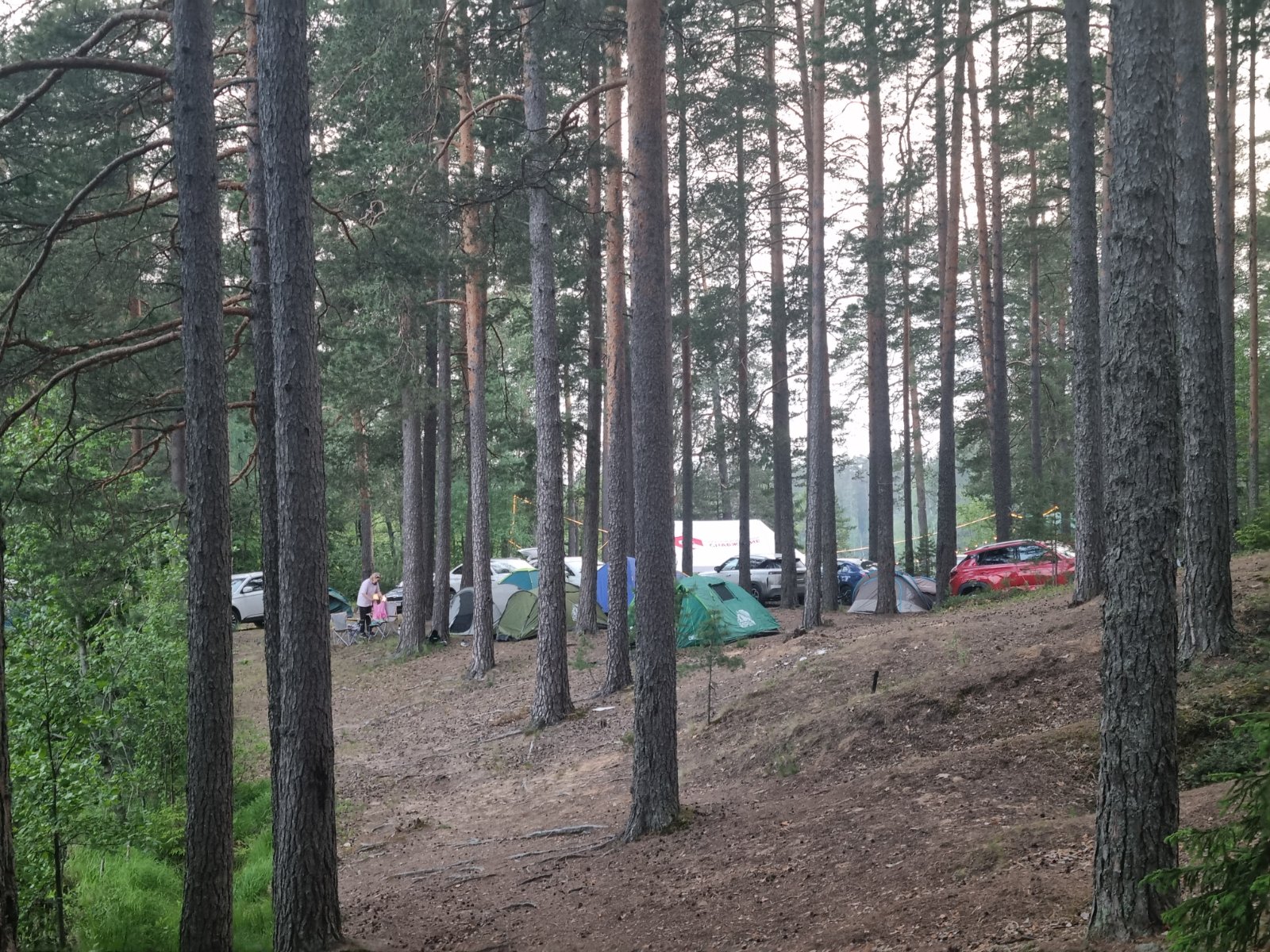 20260605_214734.jpg