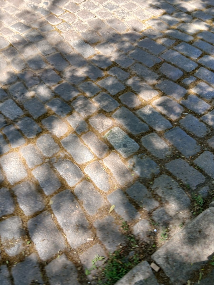 20260606_120607.jpg