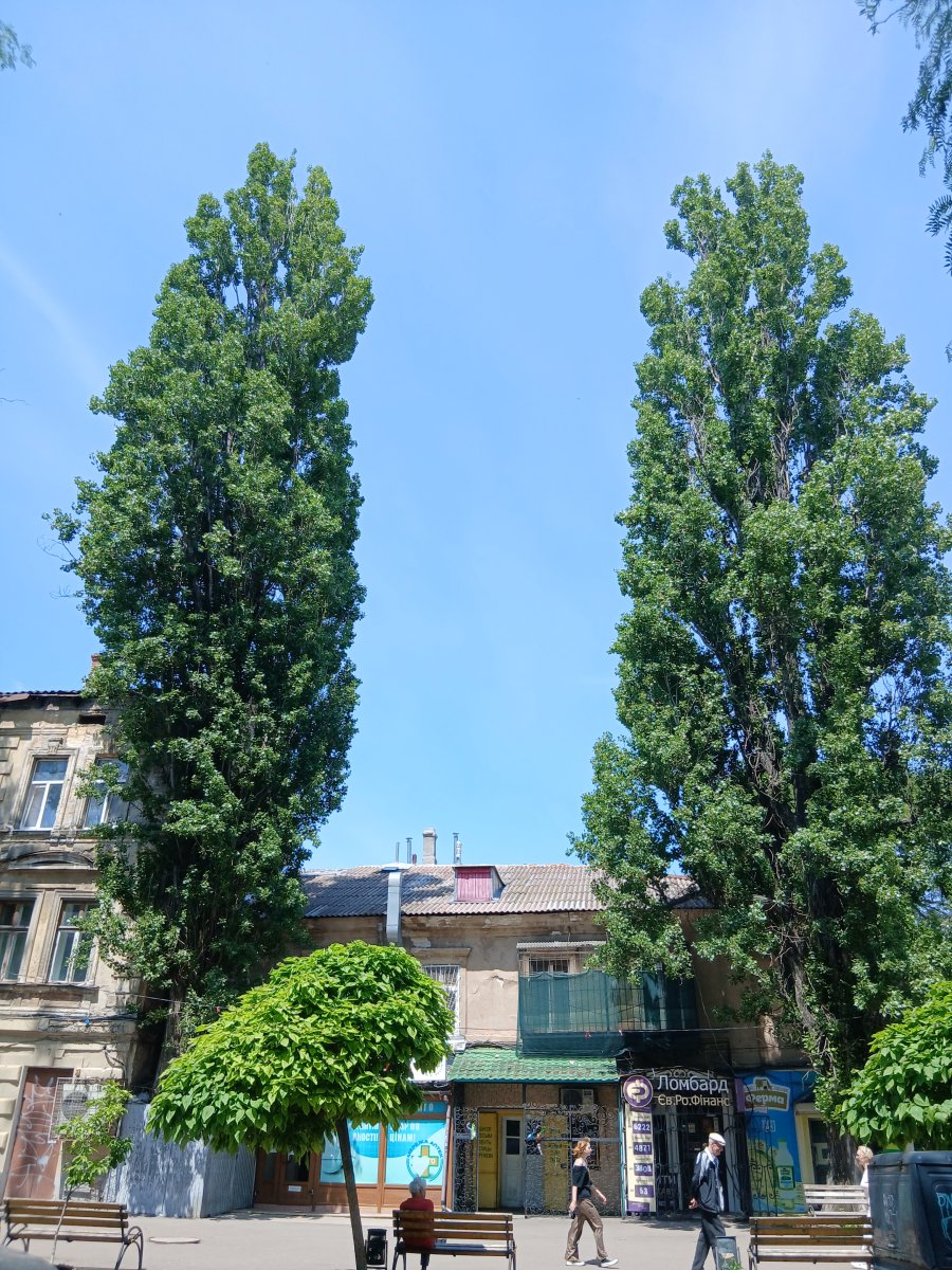 20260606_120705.jpg