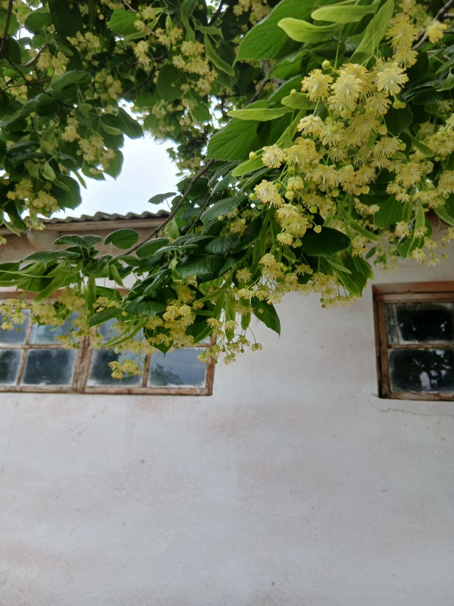 20260607_160029.jpg