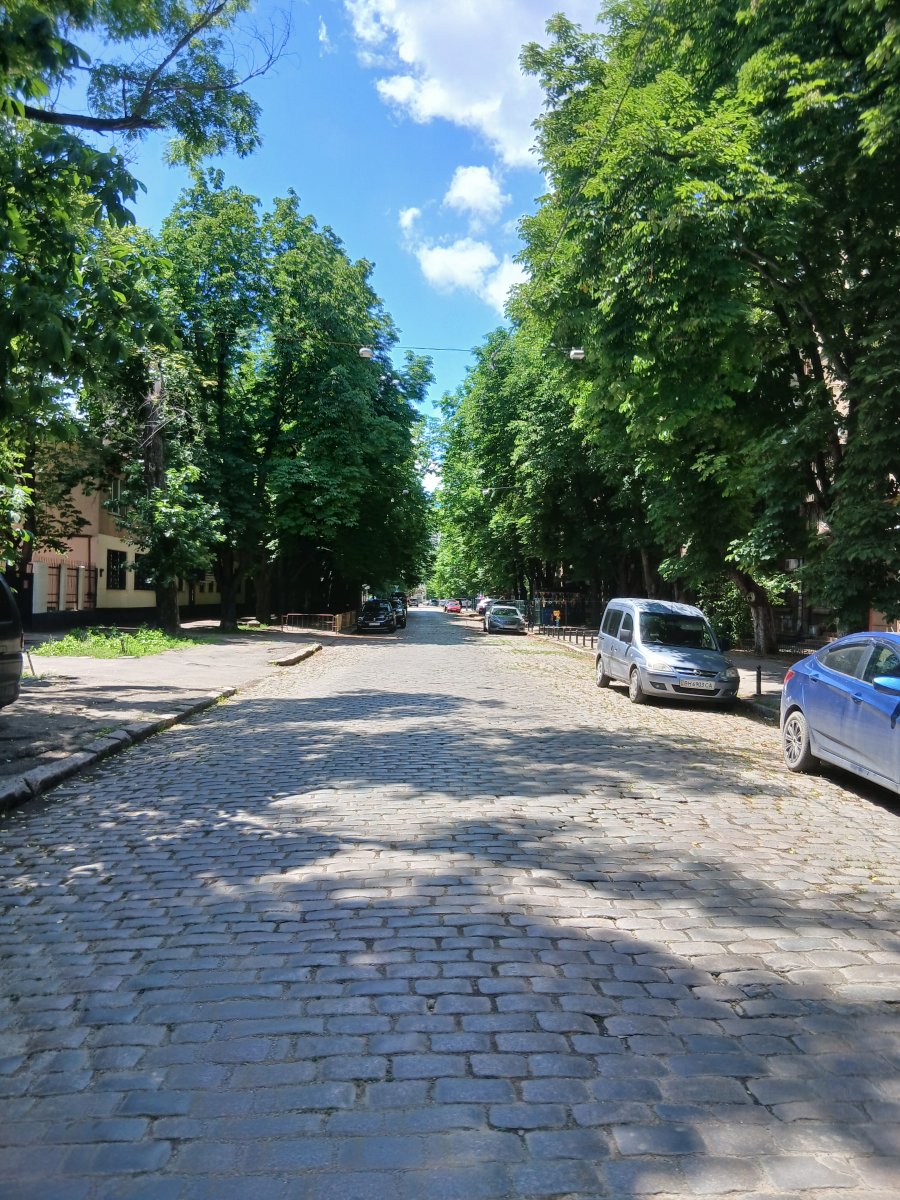 20260608_124416.jpg