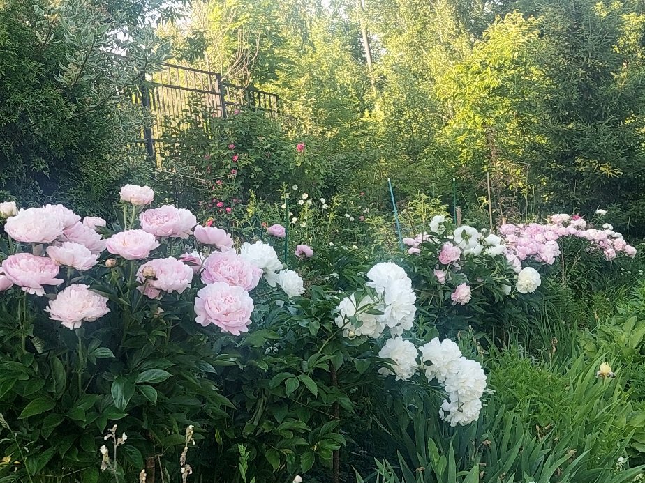20260608_183428.jpg