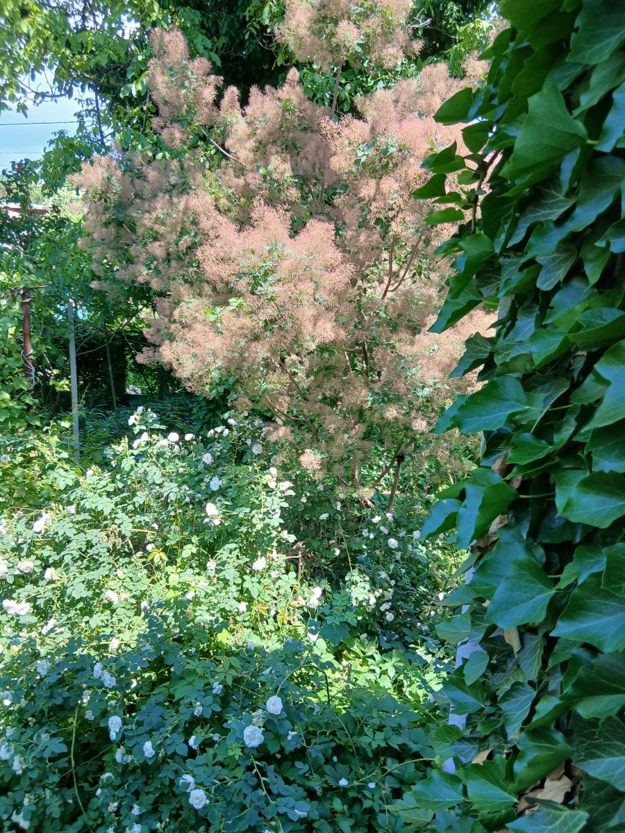 20260609_122549.jpg