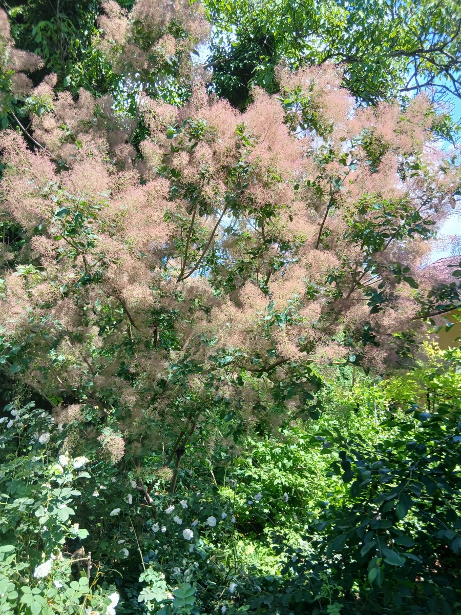 20260609_122615.jpg