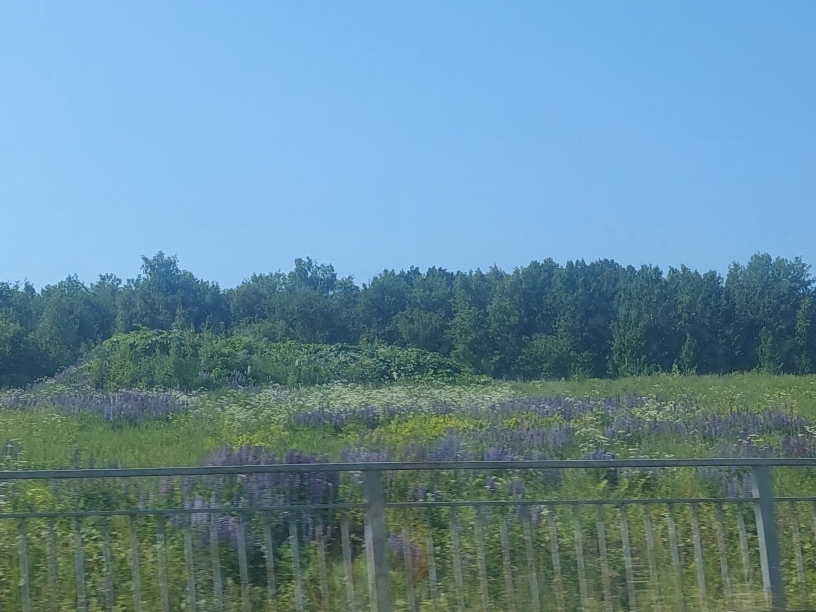 20260612_094131.jpg