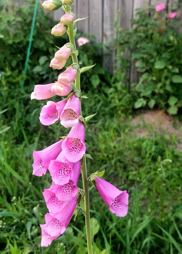 20260612_203110.jpg