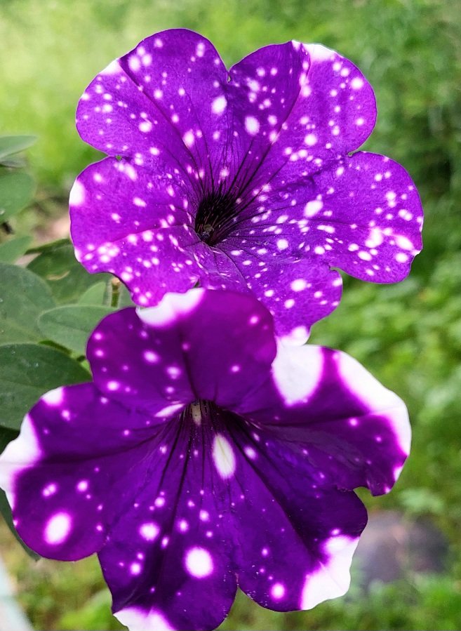 20260614_184741.jpg