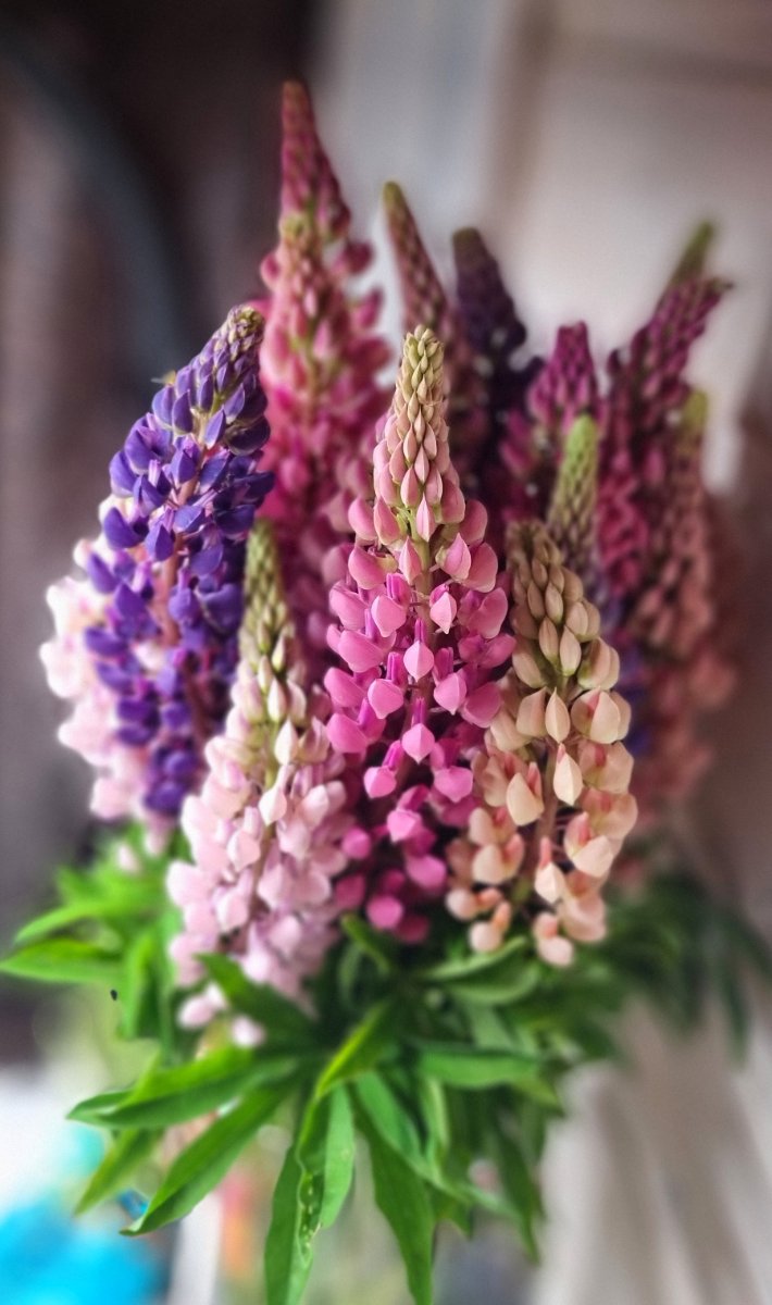 20260614_221117.jpg