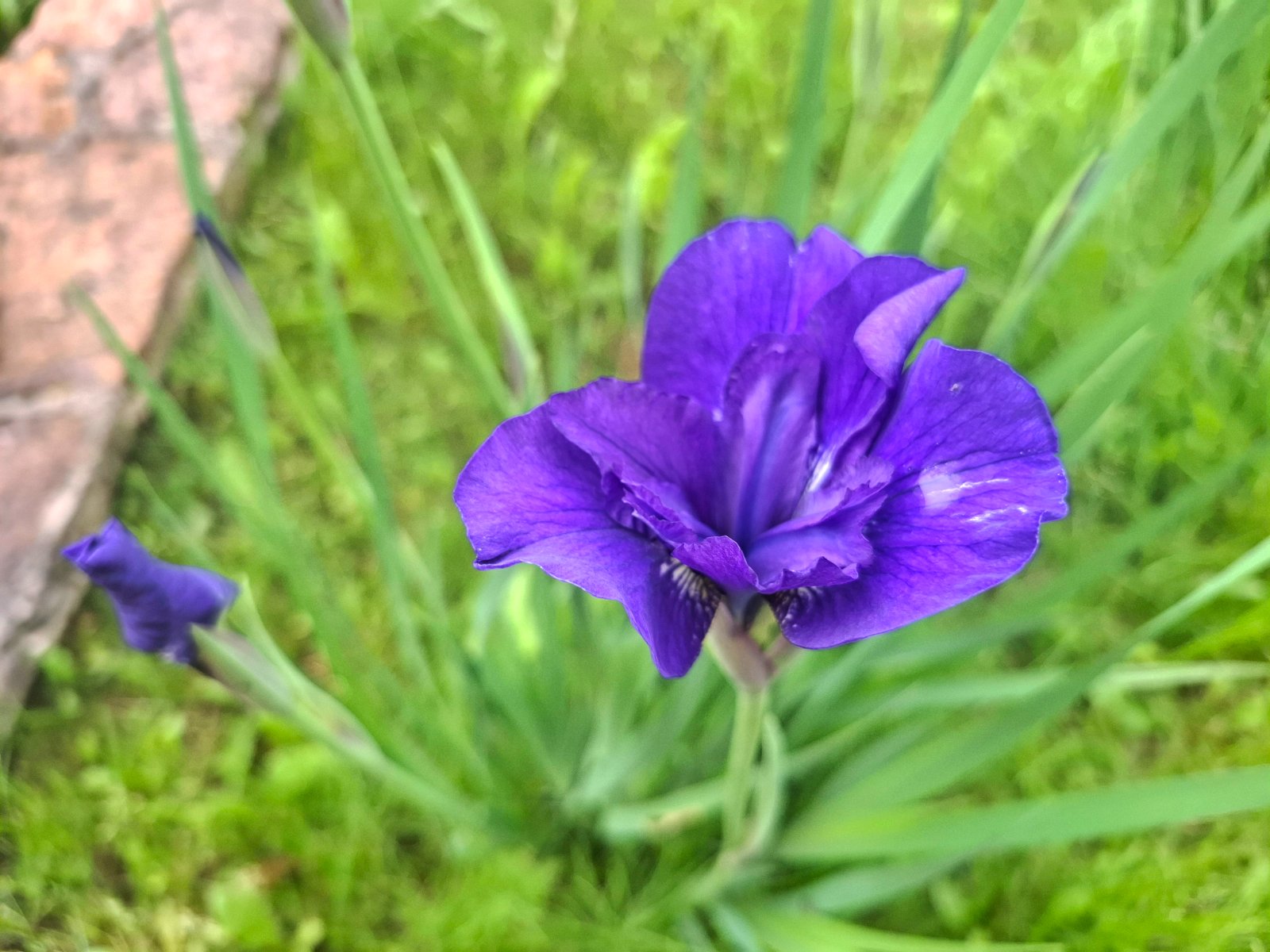 20260619_111802.jpg