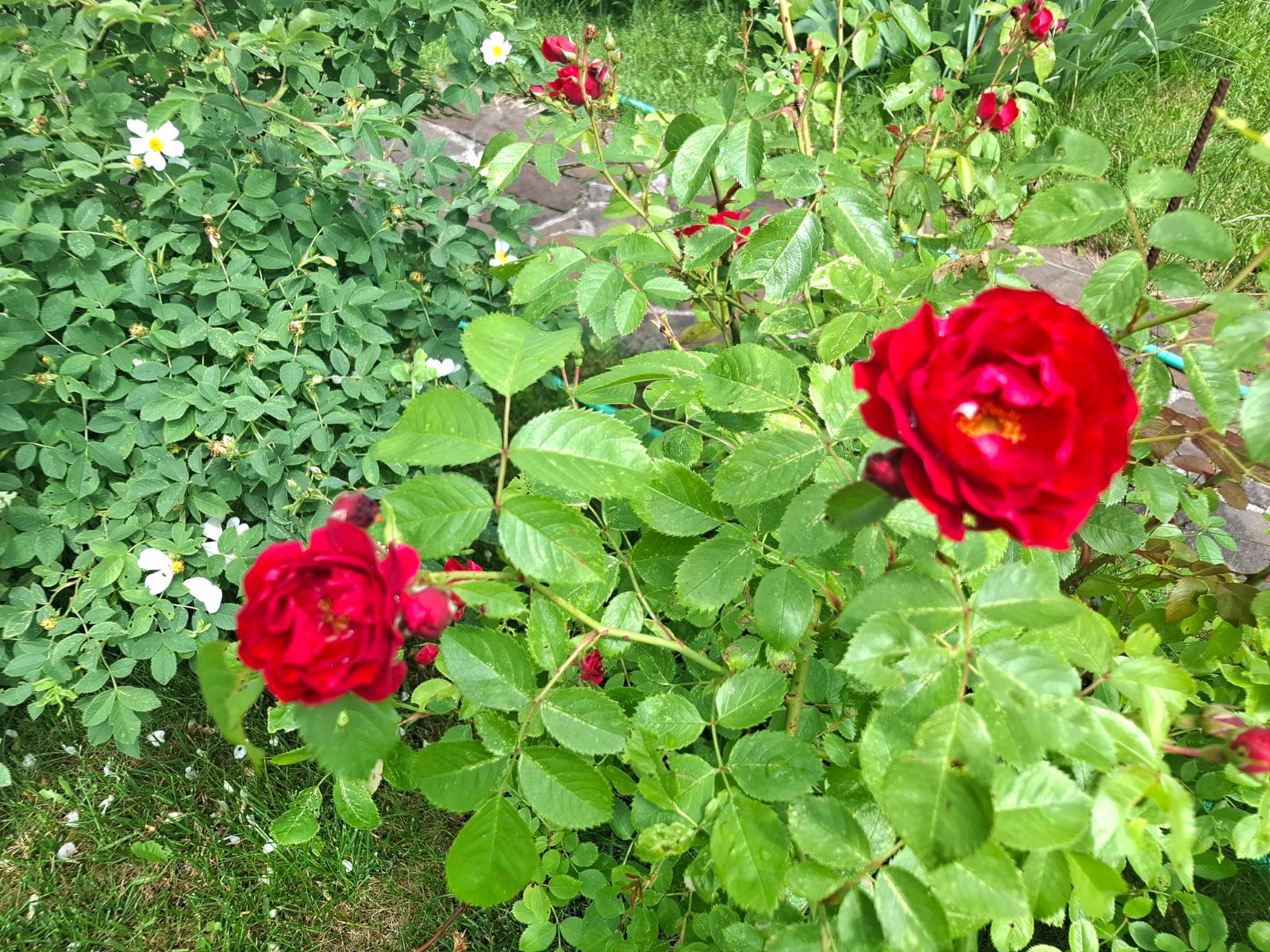 20260619_112023.jpg