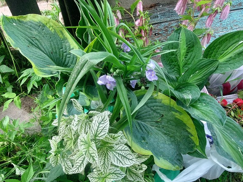 20260620_095921.jpg
