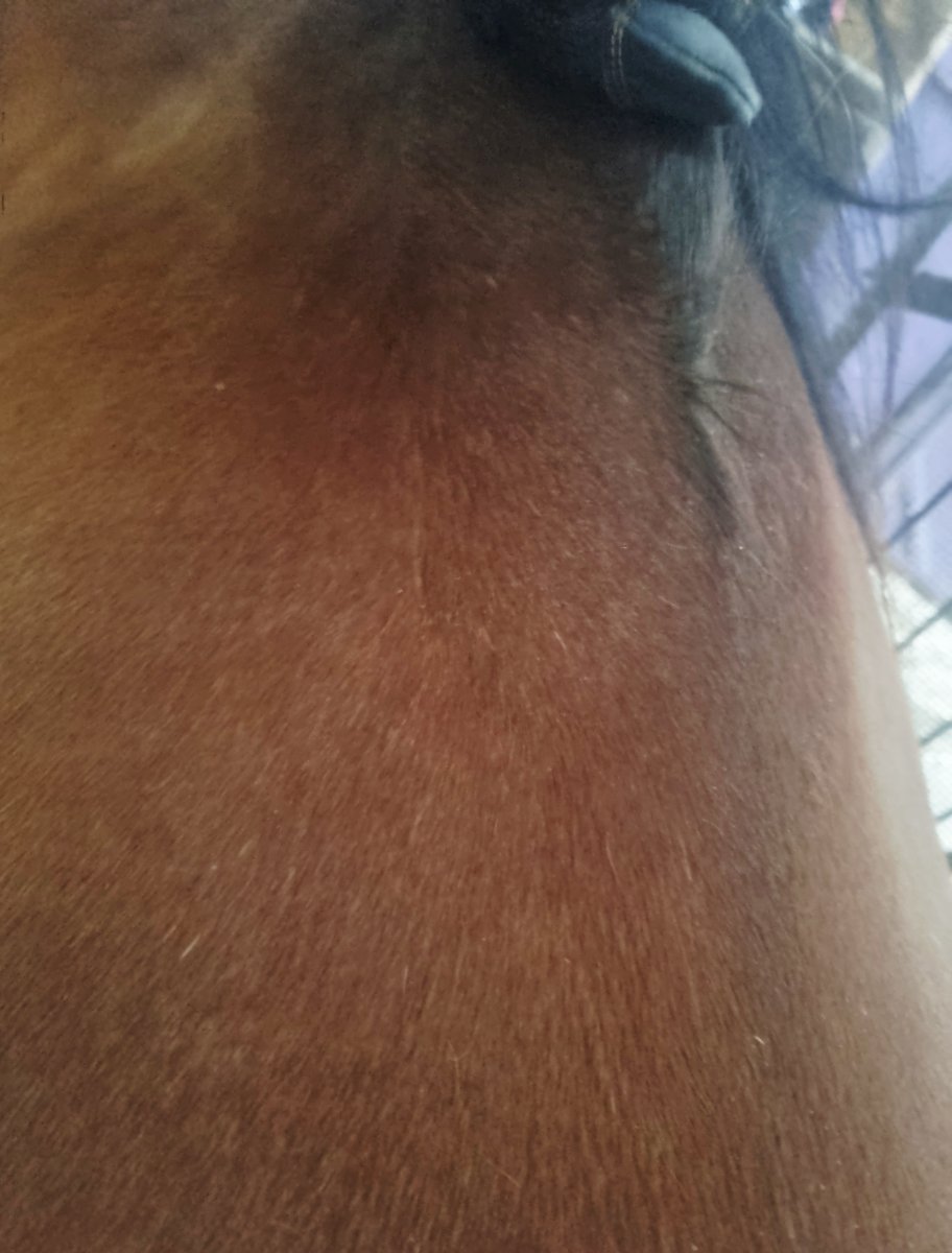 20260621_095900.jpg