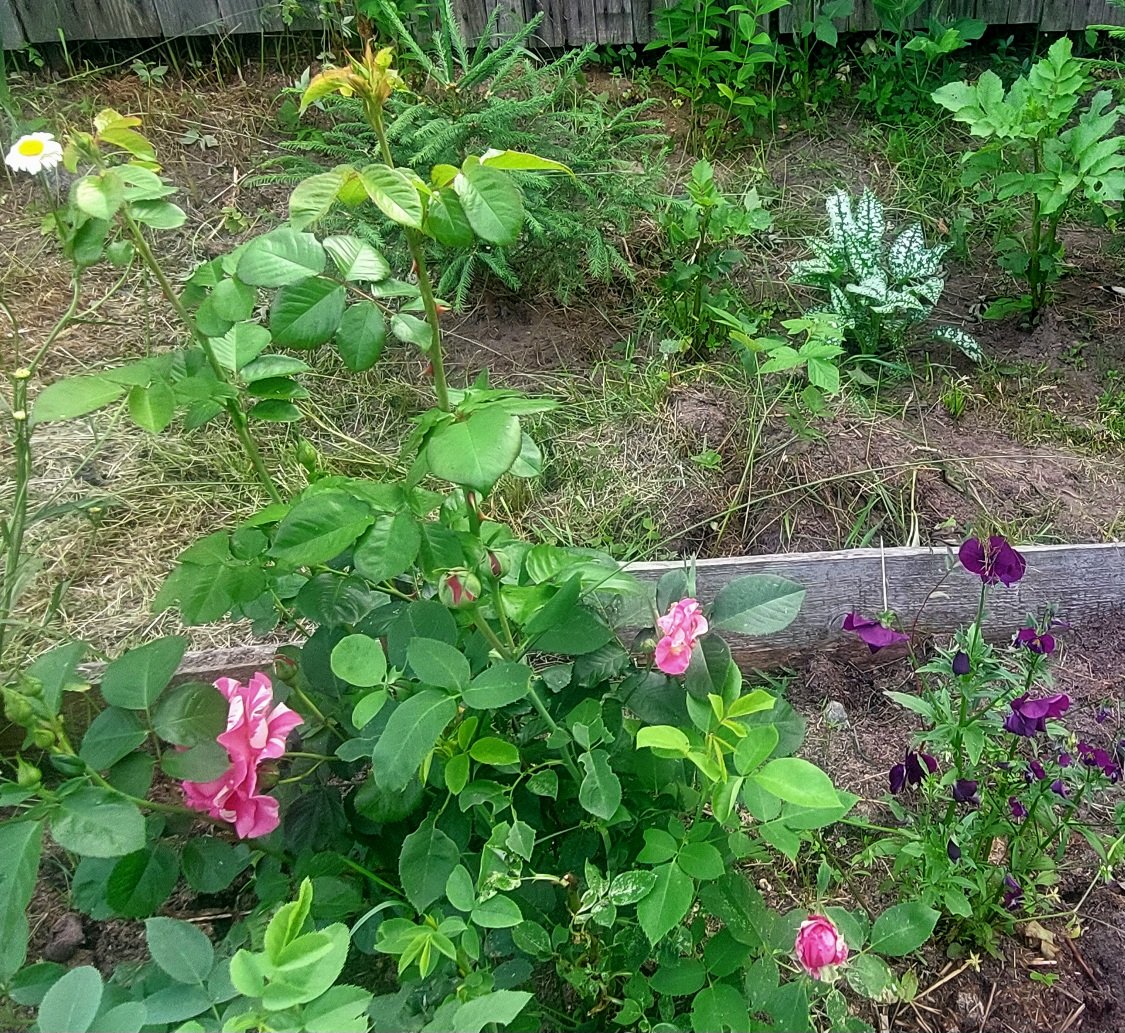 20260622_082040.jpg
