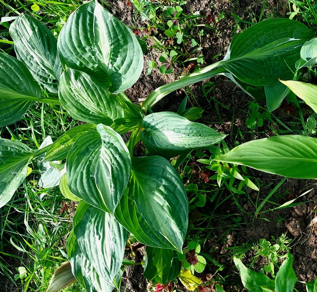 20260622_085046.jpg