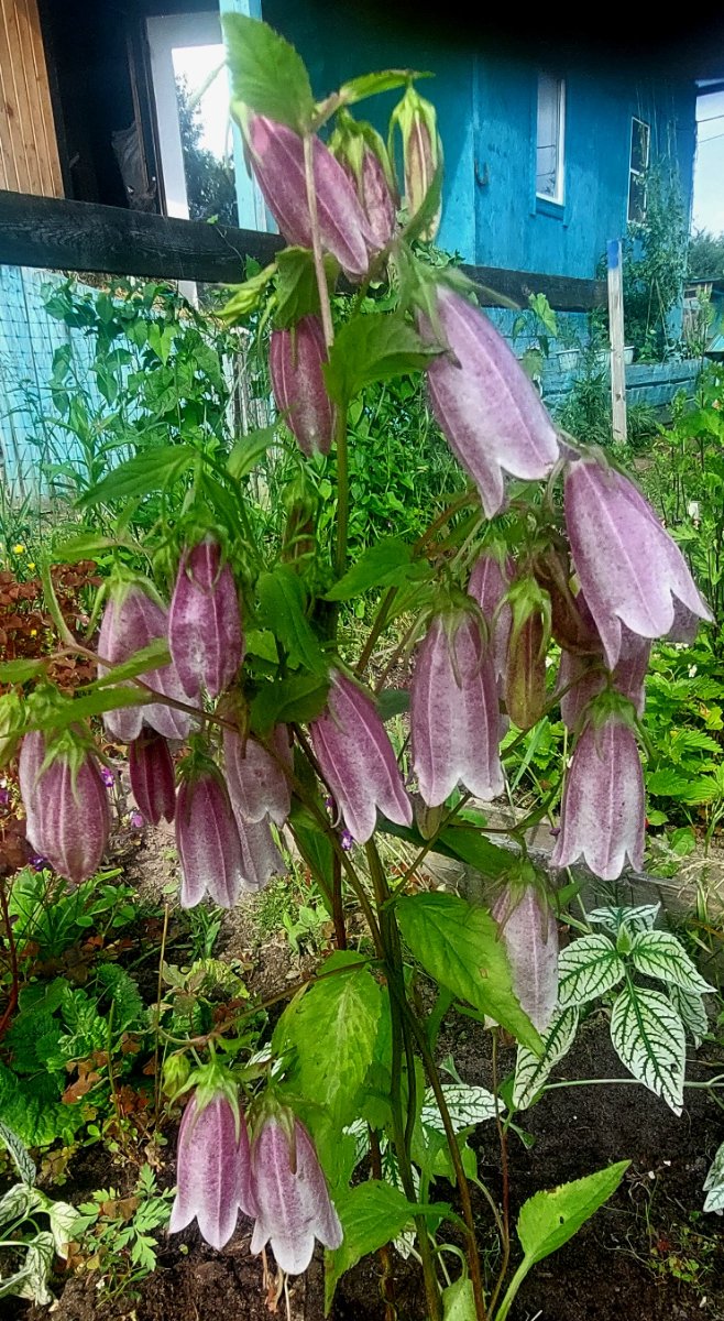 20260622_085151.jpg