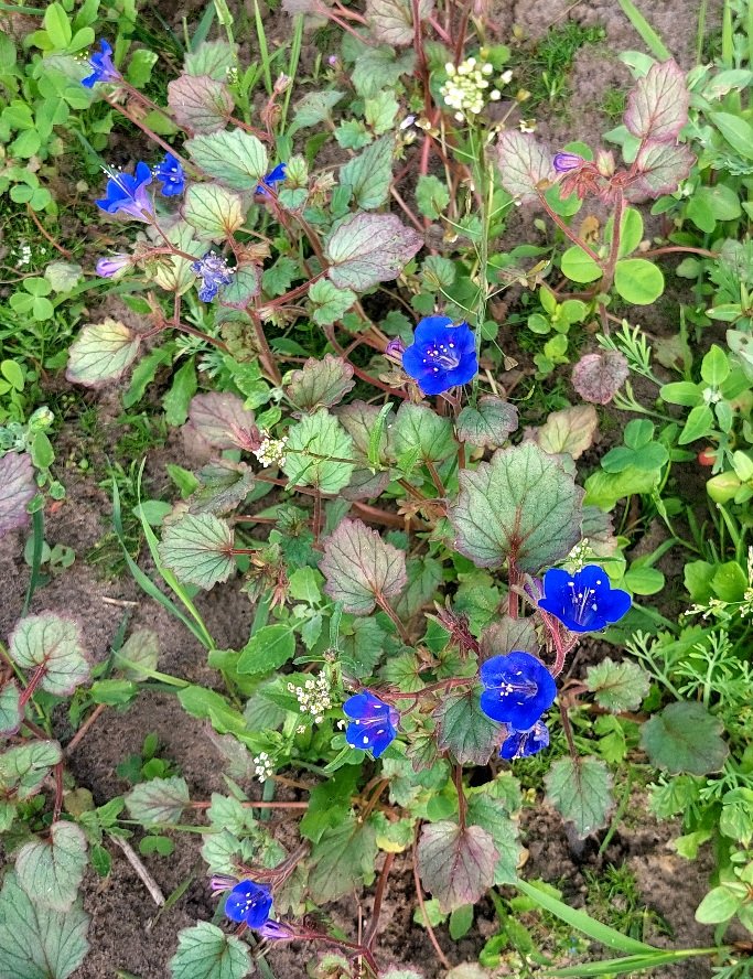 20260622_085745.jpg