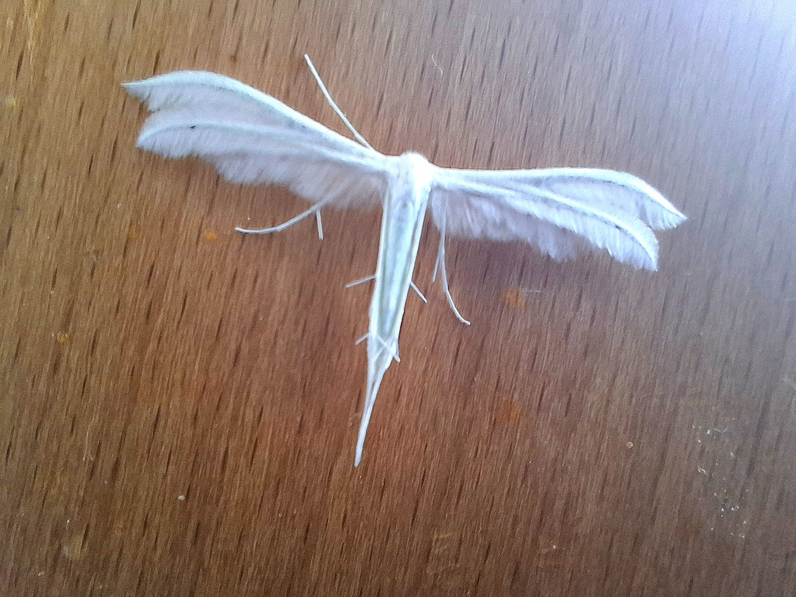 20260623_095030.jpg