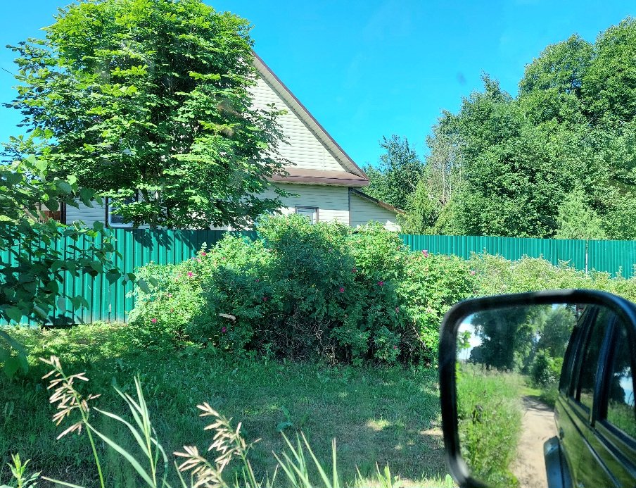 20260624_091616.jpg