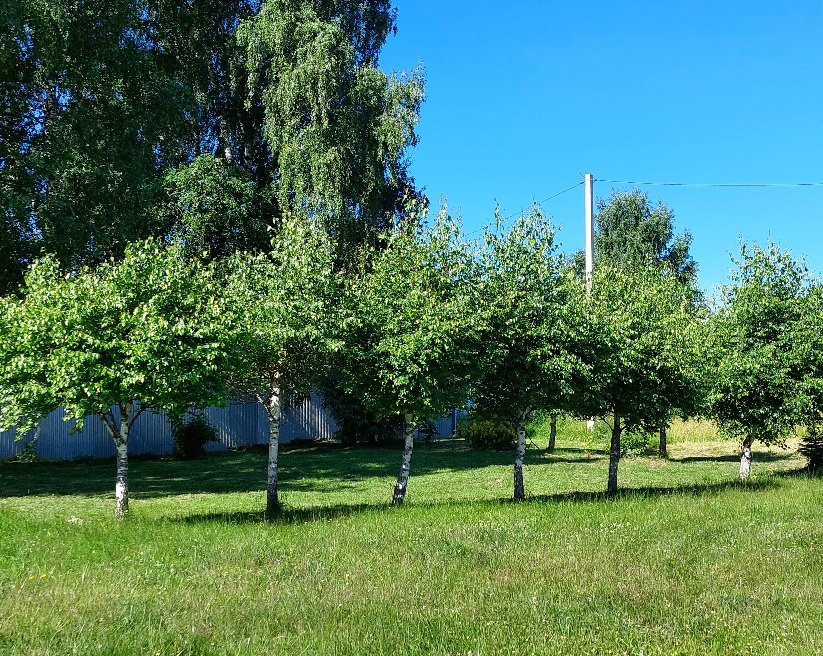20260624_092714.jpg