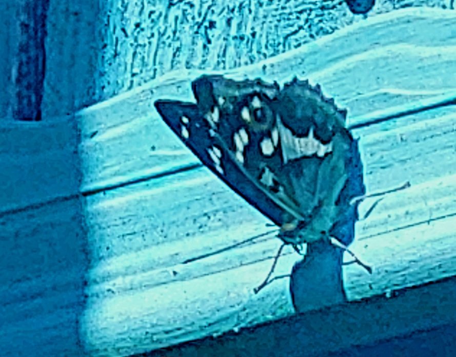 20260624_105602.jpg