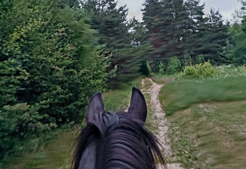 20260624_213905.jpg