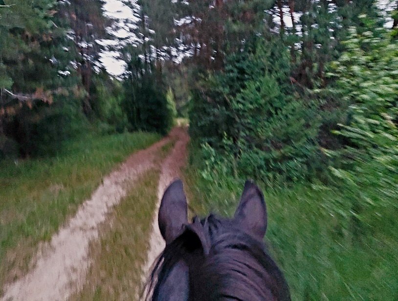 20260624_213932.jpg