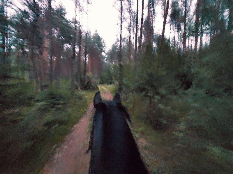20260624_214411.jpg