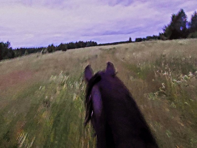 20260624_215946.jpg