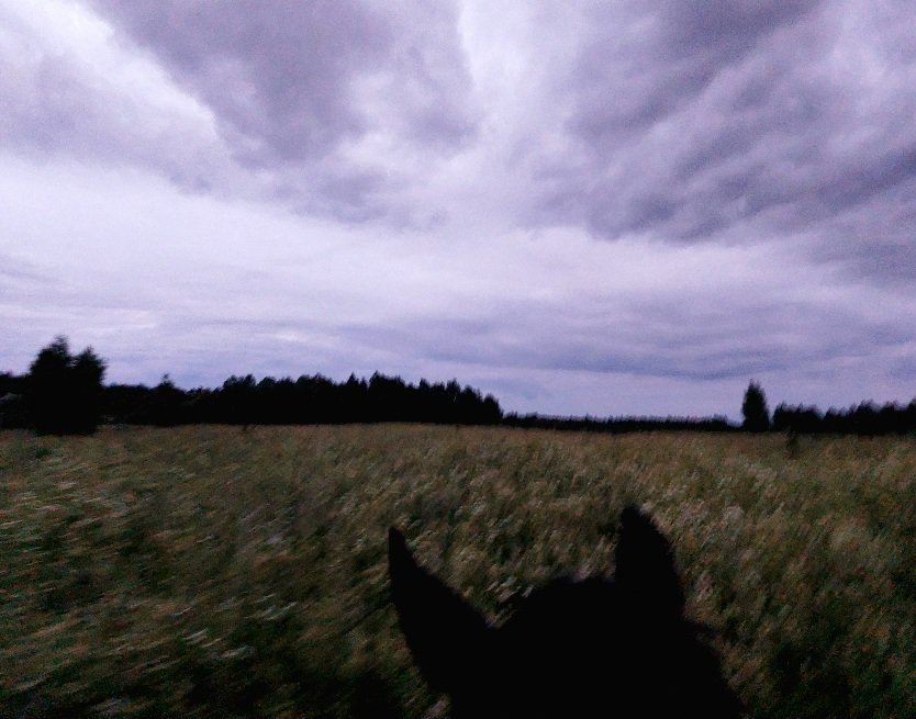 20260624_220040.jpg