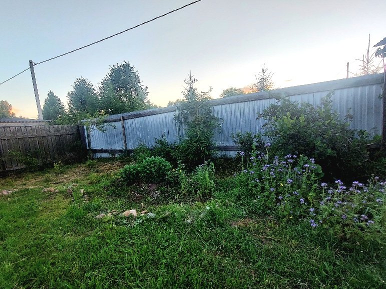 20260625_210826.jpg