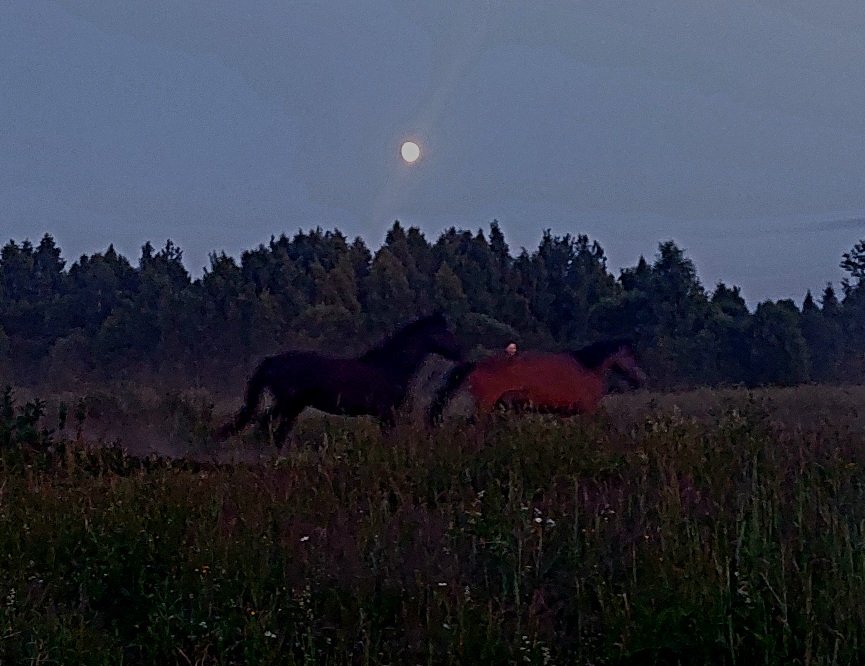 20260626_220937.jpg