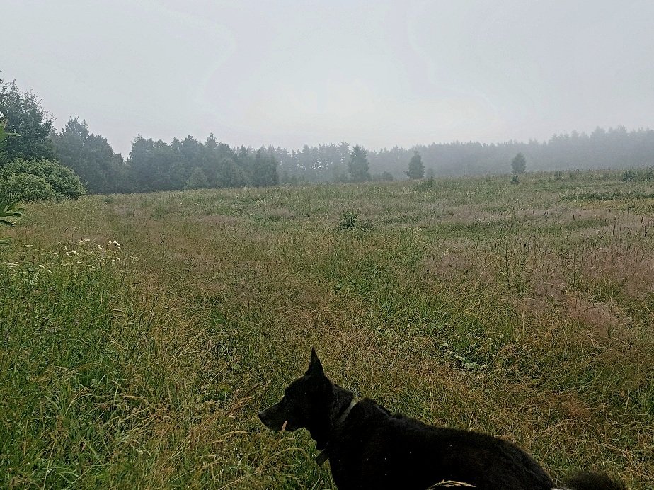 20260628_072603.jpg