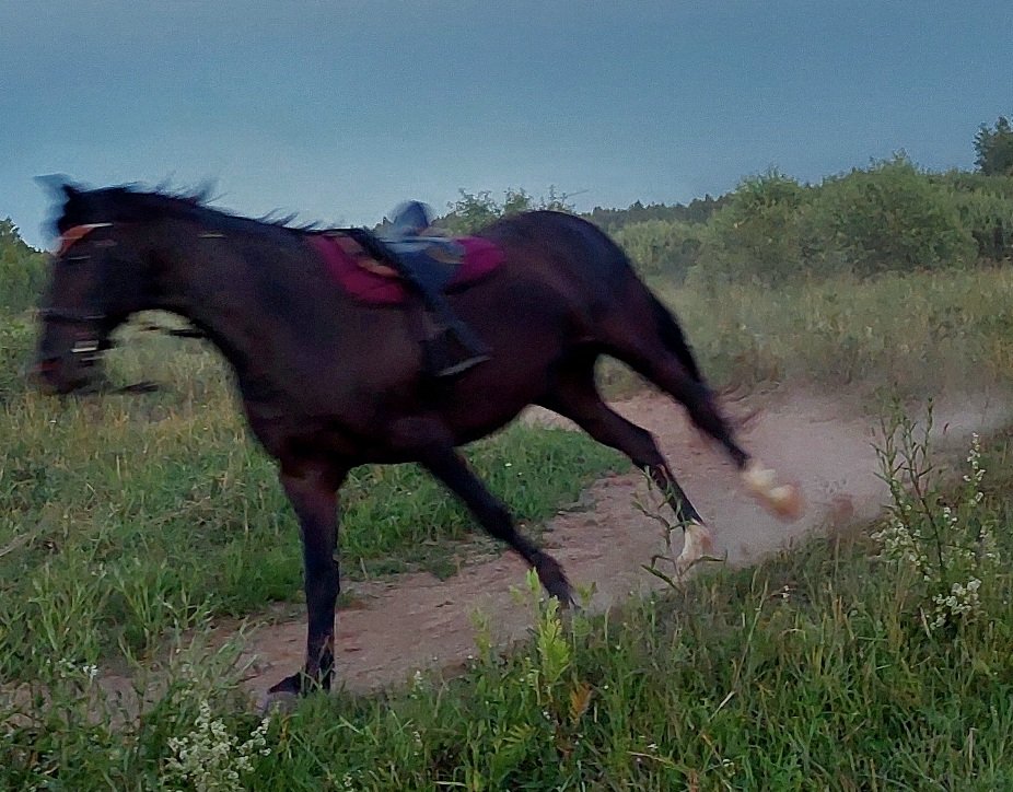 20260628_214236.jpg