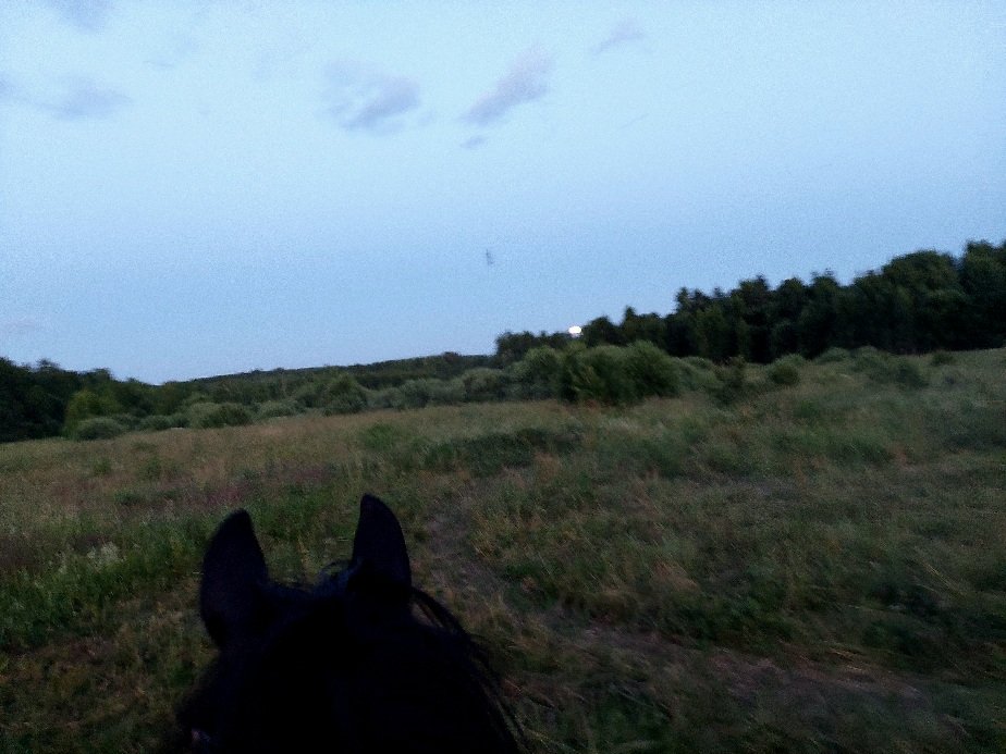 20260628_215235.jpg