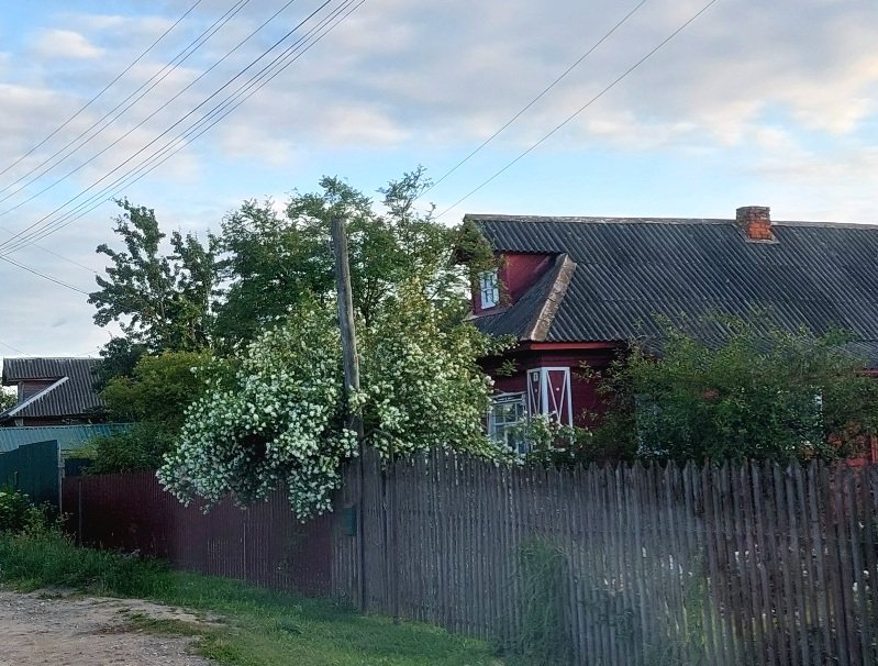 20260629_201013.jpg