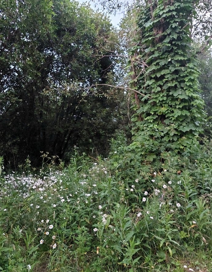 20260630_215828.jpg