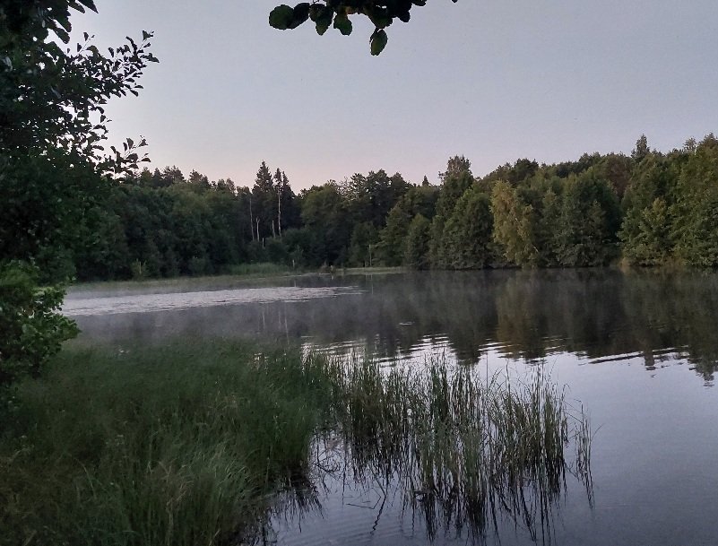 20260630_220500.jpg