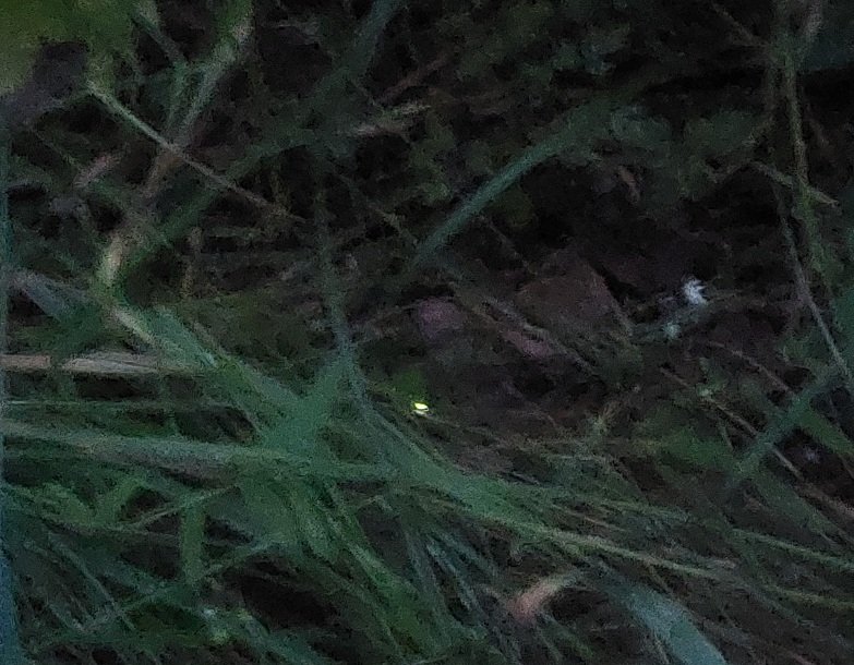20260630_221738.jpg