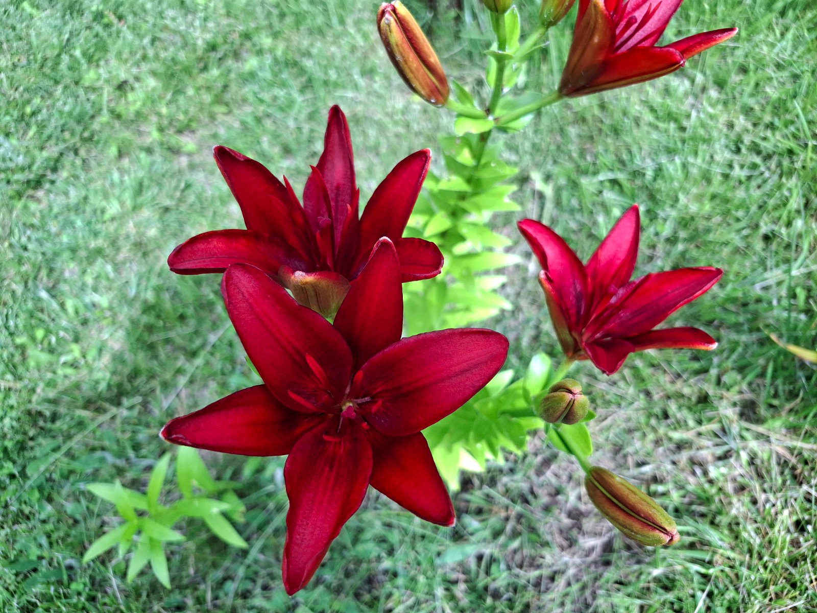 20260705_133727.jpg