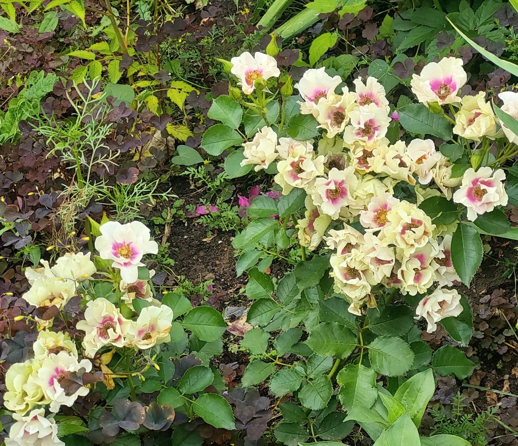 20260705_161256.jpg