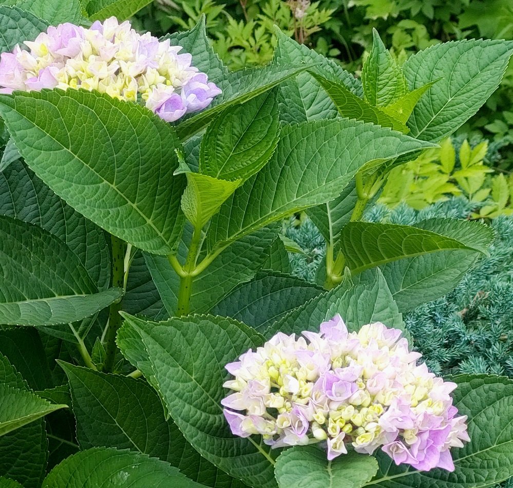 20260705_161555.jpg