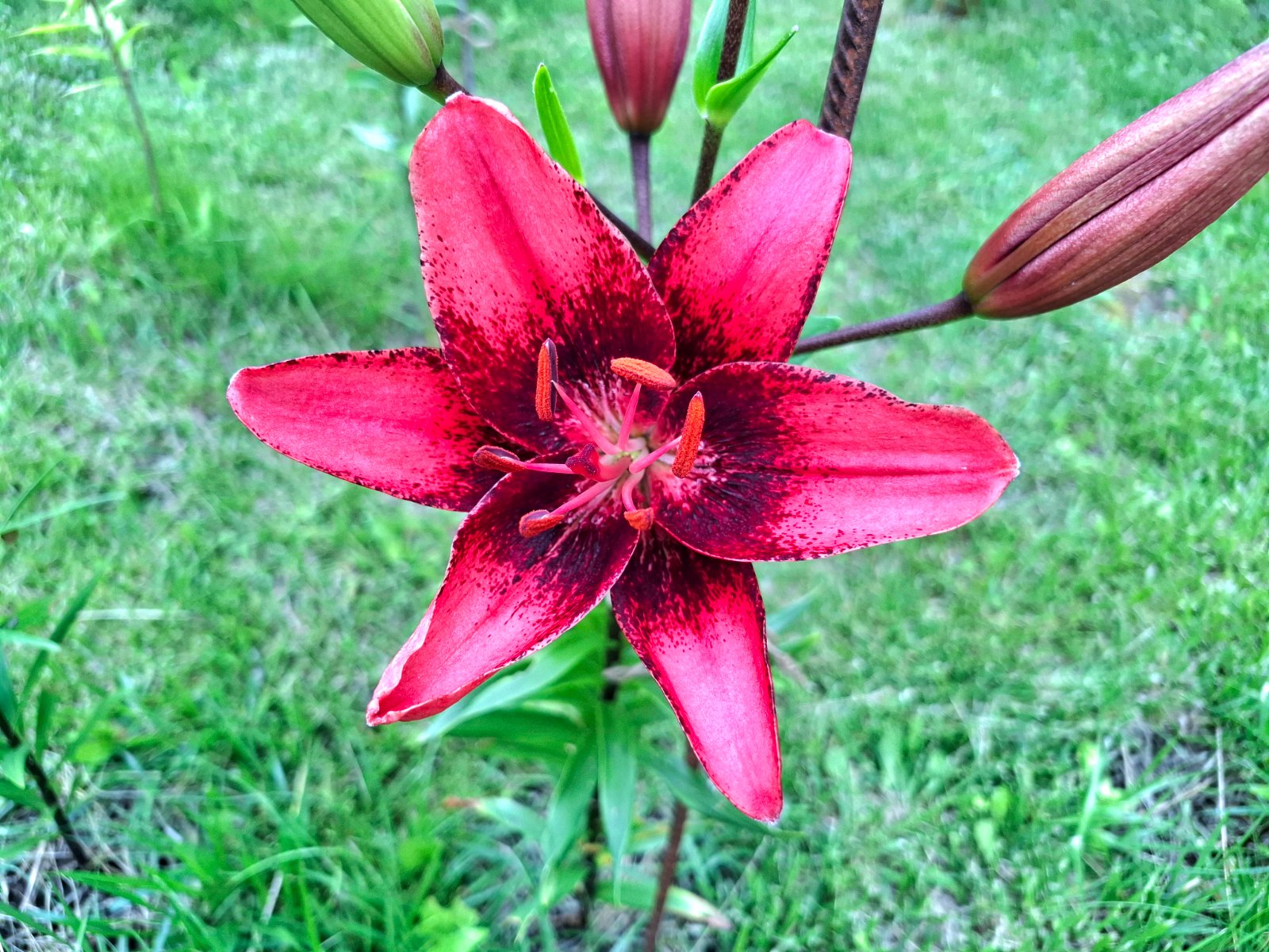 20260707_132106.jpg