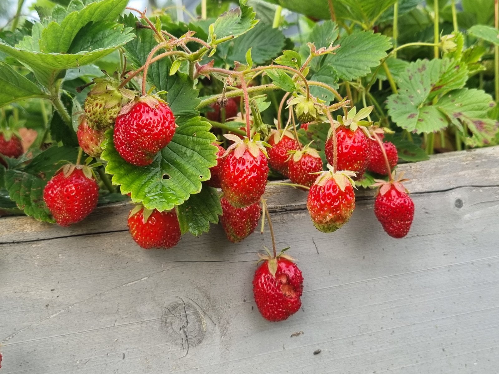 20260708_070819.jpg