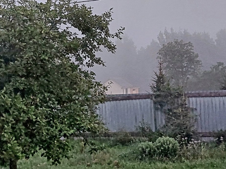 20260714_031827.jpg