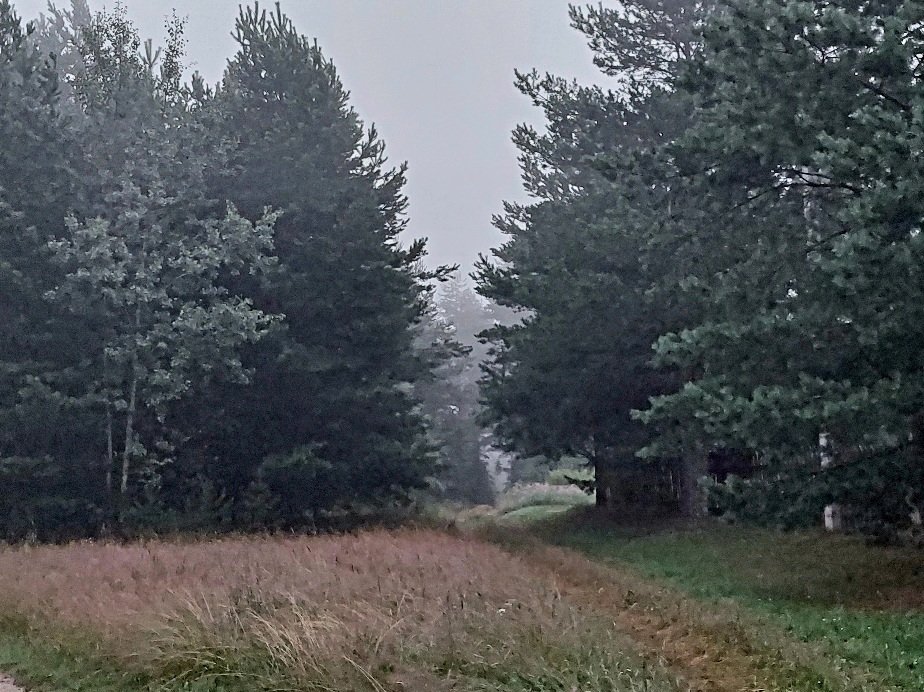 20260714_033022.jpg
