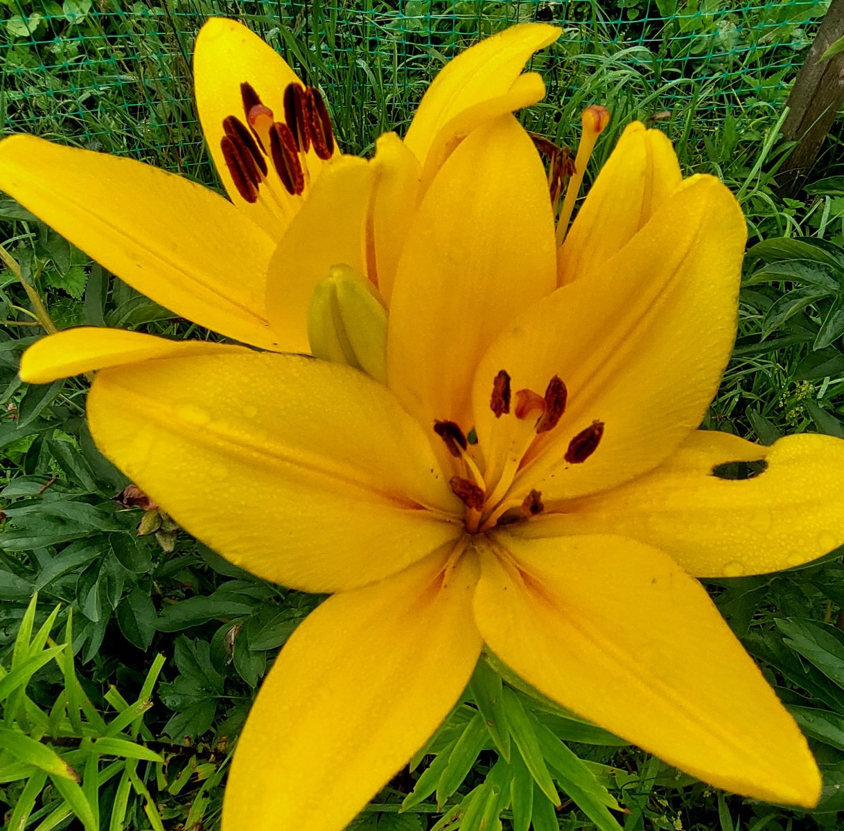 20260714_081636.jpg